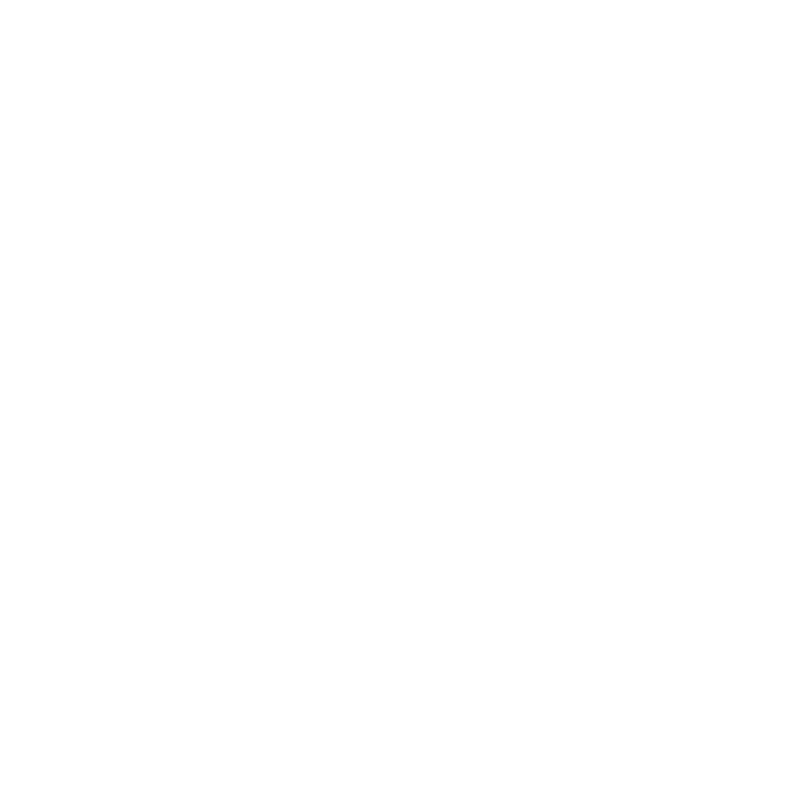 Logo New Star Tourism