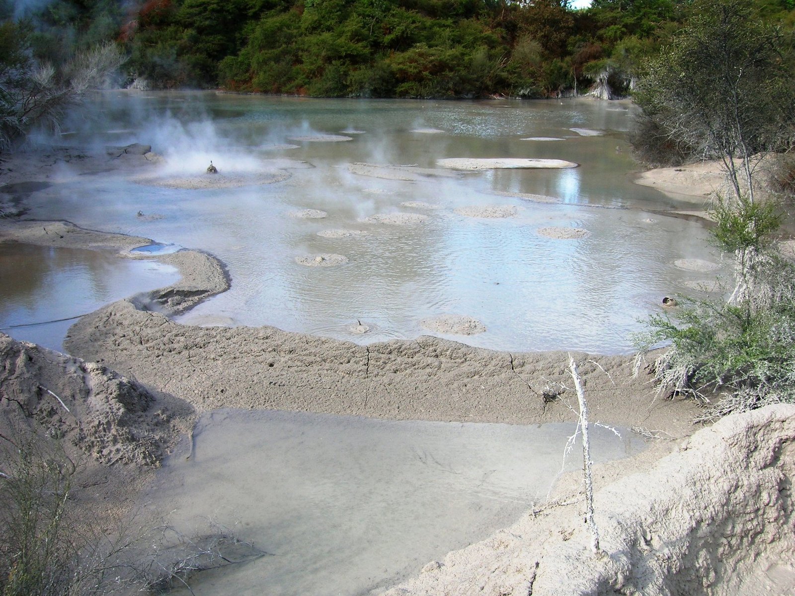 Auckland và Rotorua