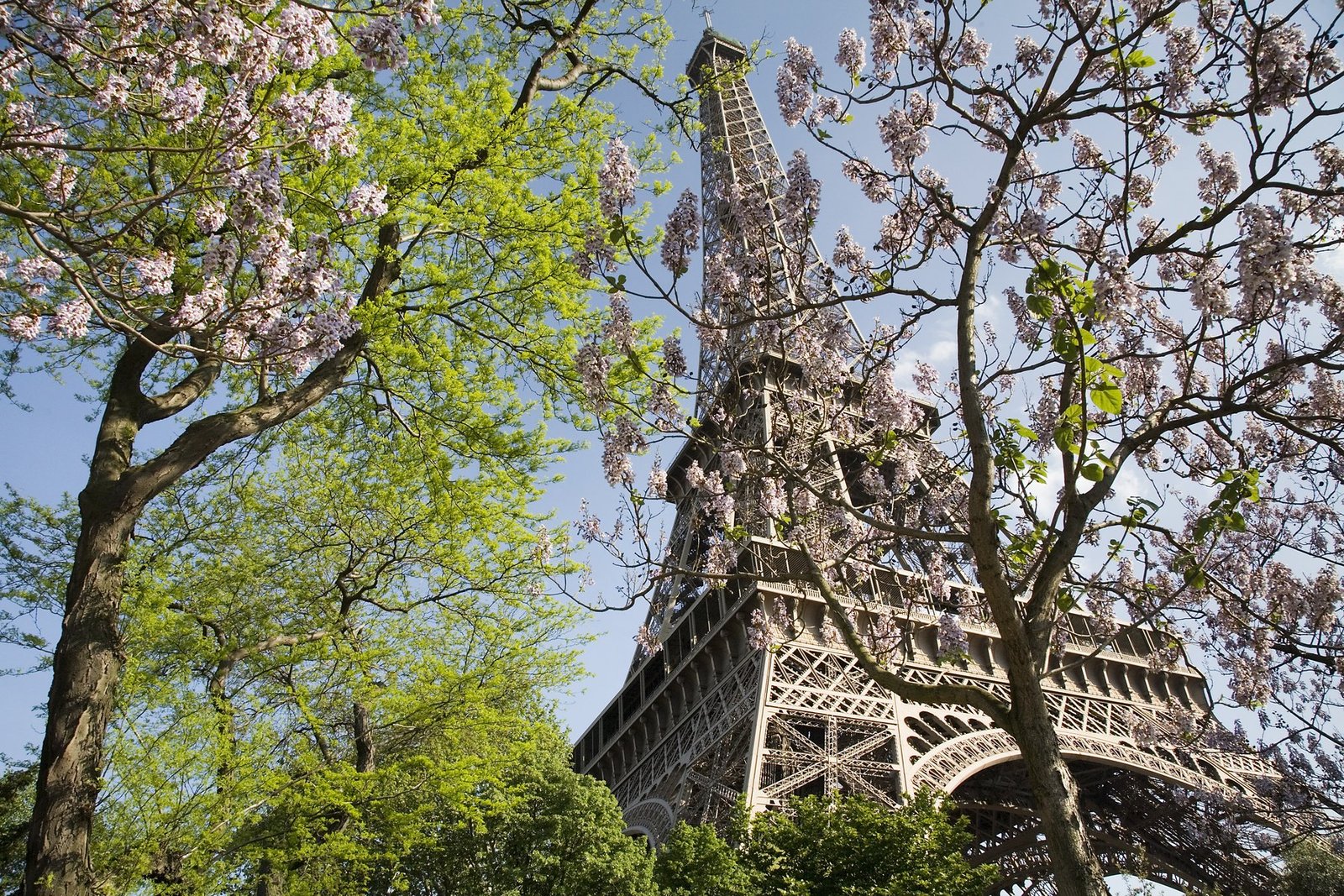 Cảnh tháp Eiffel và Paris lãng mạn