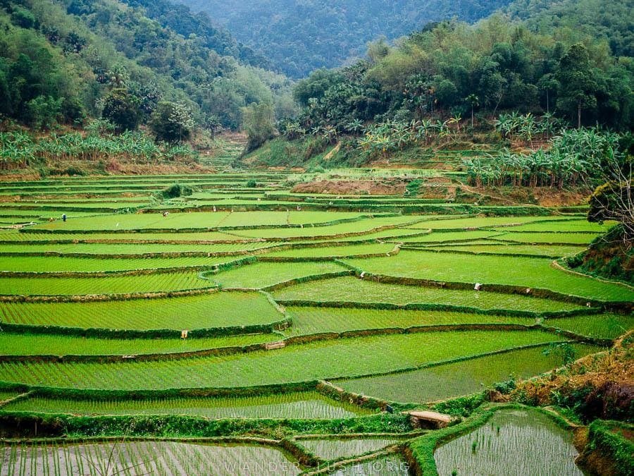Nhà sàn người Thái ở Pù Luông
