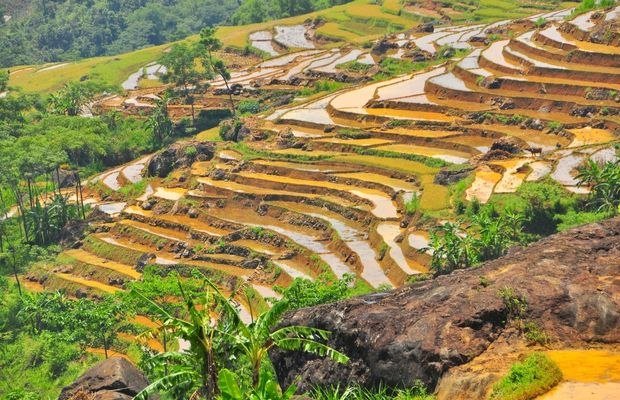 Cảnh rừng nguyên sinh Pù Luông