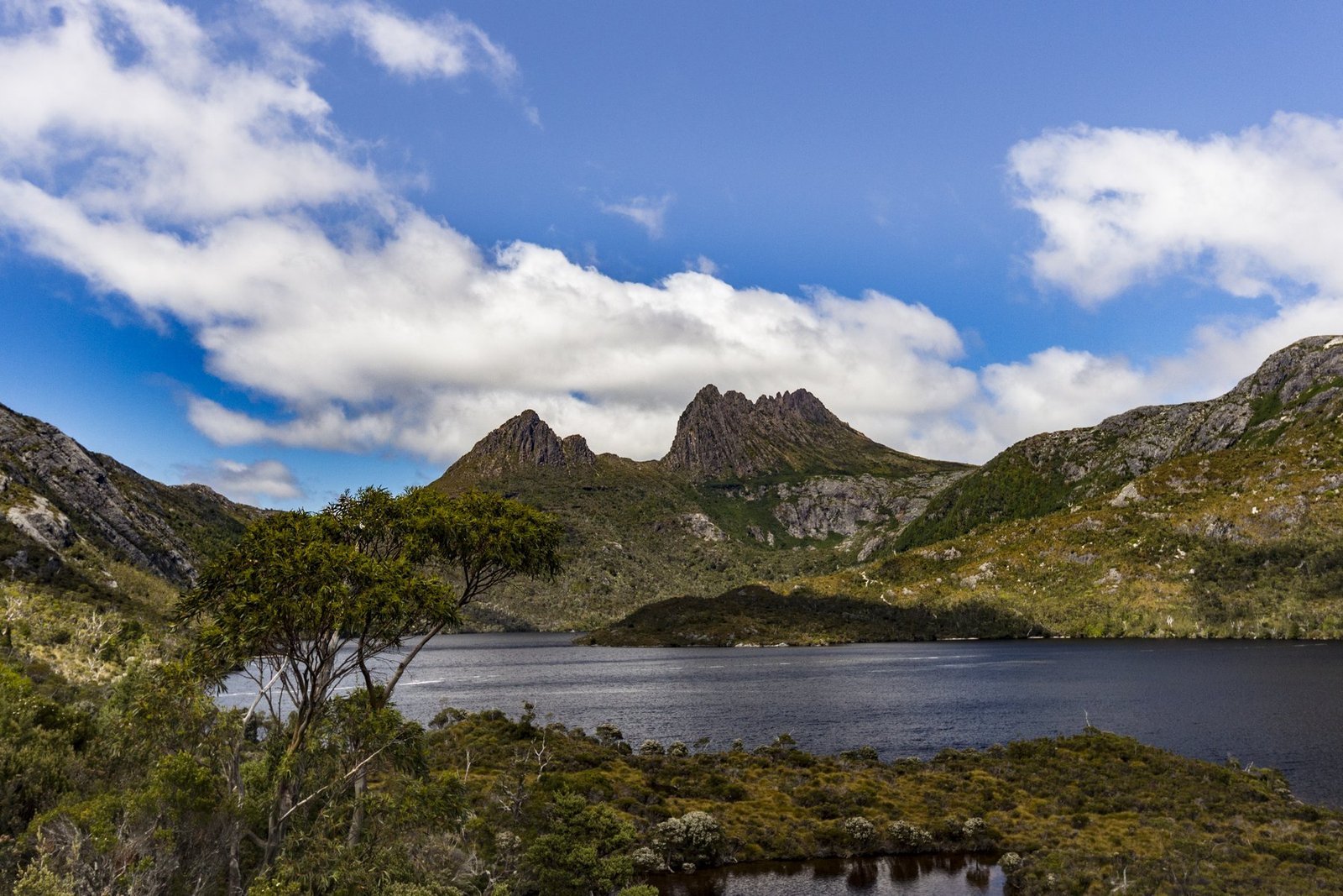 Cảnh núi non và rừng Tasmania